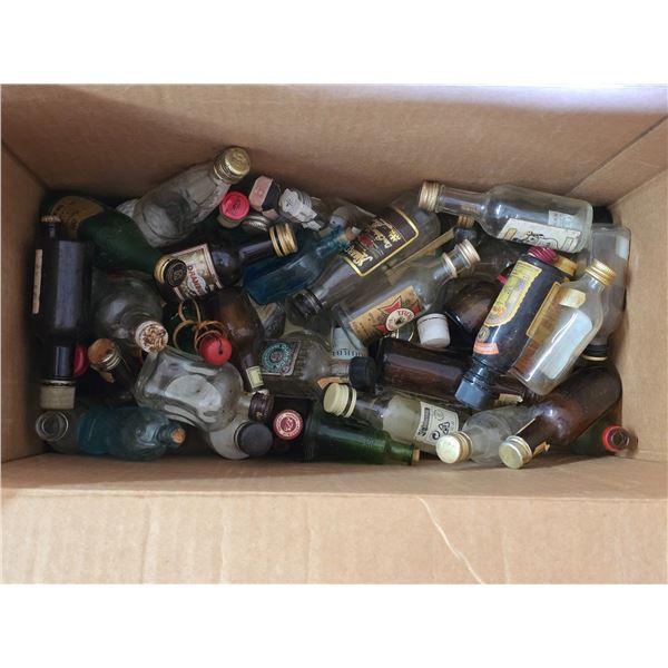 Lot of empty booze bottles