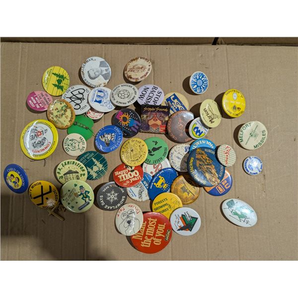 lot of Vintage Pins (Some From Prince Albert)