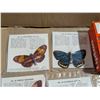 Image 5 : Vintage Lipton tea Orange Pekoe w/ Original Box "Tropical Butterfly's"