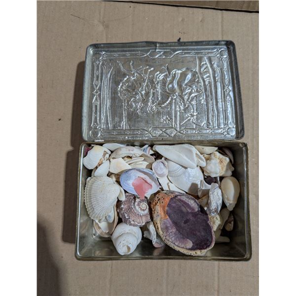 Vintage Tin W/ Various Sea Shells and etc.