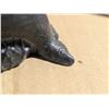 Image 3 : Wolf Original Hand Crafted Sculpture (Whale)