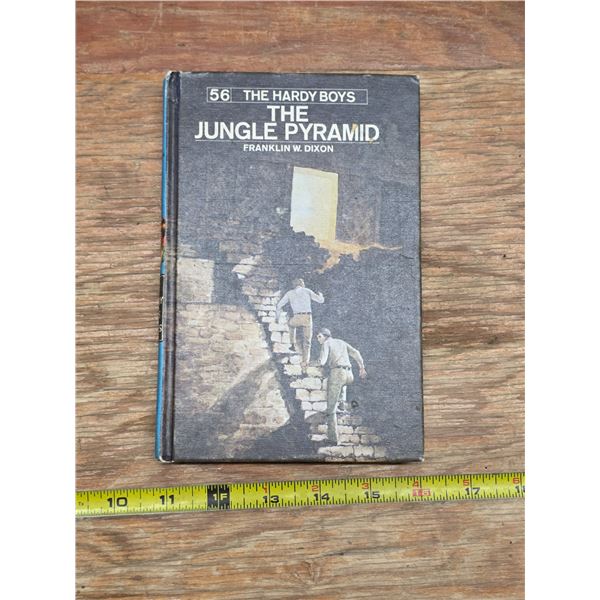 The hardy boys- the jungle pyramid book