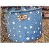 Image 3 : Possibly north star bucket