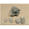 Image 1 : Bag of Desert Rose Rocks