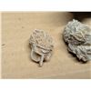 Image 2 : Bag of Desert Rose Rocks