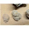Image 3 : Bag of Desert Rose Rocks