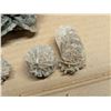 Image 4 : Bag of Desert Rose Rocks