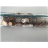 Image 3 : Bag of Pennys