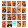 Image 1 : (19) 1998 O-Pee-Chee FUTURE STAR Mini NHL Cards