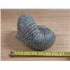 Image 5 : Vintage Wolf Original Canadian Stone Composite.