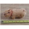 Image 3 : Vintage wind-up "Sniffing Rooting Pig" toy, manufactured in Japan by TN (Toys Nomura) during the 195