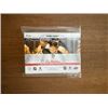 Image 2 : 2020-2021 Tim Horton's Photo Finish Insert Set