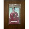 Image 1 : Gordie Howe - Light Switch Cover