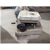 Image 5 : Possible Briggs and Stratton Engine Non tested