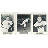 Image 1 : (3) 1917 TCMA Baseball Cards (Stengel, Newcombe, Hodges)
