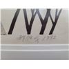 Image 6 : Framed, Signed, & Numbered Landscape Print