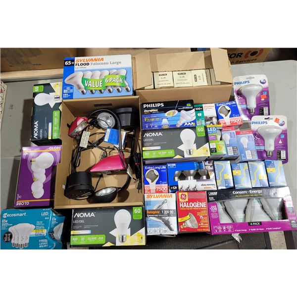 Assorted Lightbulb Lot
