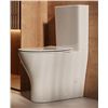 Image 1 : MACERATINGFLO ARES P-TRAP REAR DISCHARGE TOILET, ELONGATED & 18" COMFORT HEIGHT SEAT, INCLUDES TWO E