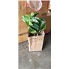 Image 1 : 38.00'' ARTIFICIAL MINI FIDDLE LEAF FIG TREE IN BASKET