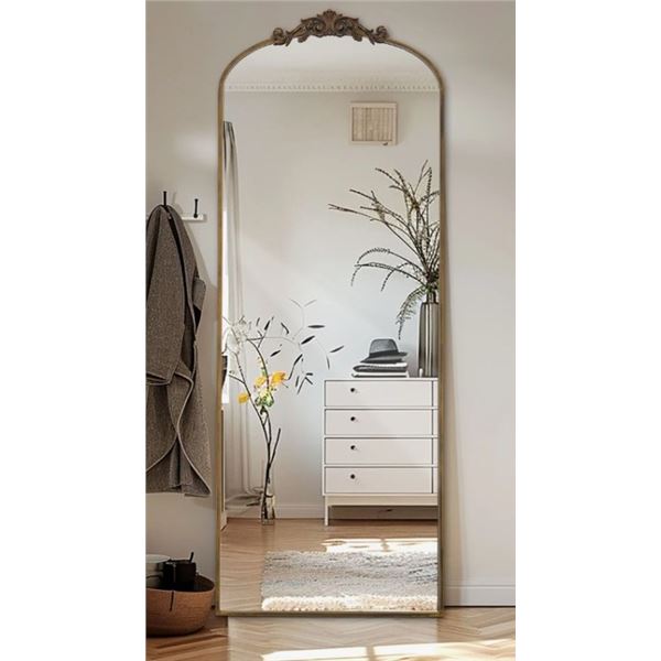 FLEUR DE LIS LIVING FILIGREE FLOOR MIRROR FULL LENGTH MIRROR FREESTANDING WITH VINTAGE ORNATE CARVED
