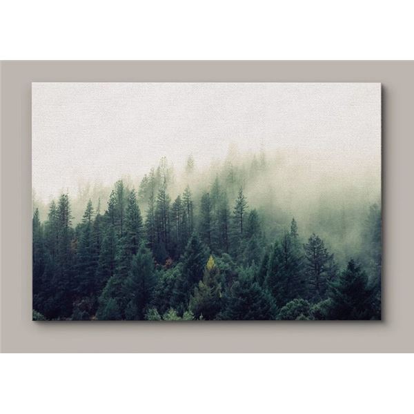 MISTY GREEN FOREST PINE TREES IN SUNLIGHT 32" H x 48" W x 1.5" D