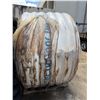 Image 2 : Large Coil Pre-Insulated Pex Pipe