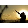 Image 1 : Argentinean Dove Hunt for Four