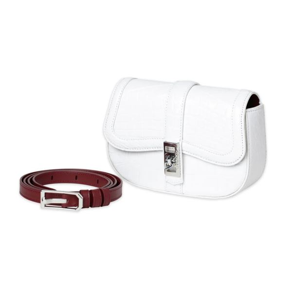An Amazing Alligator Accessories Package for Ladies