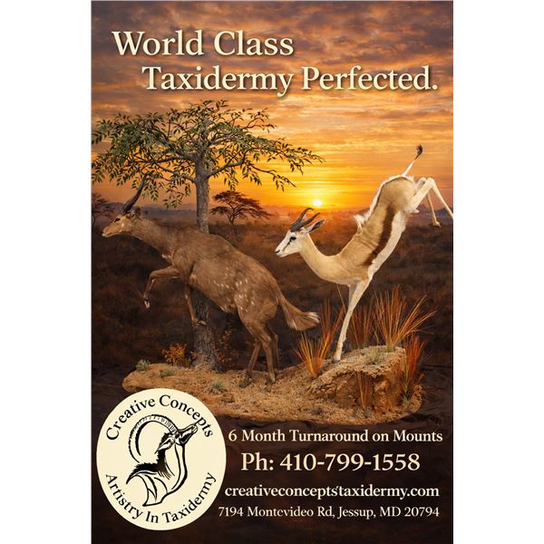 $1,500 African Trophy Credit - Creative Concepts Taxidermy