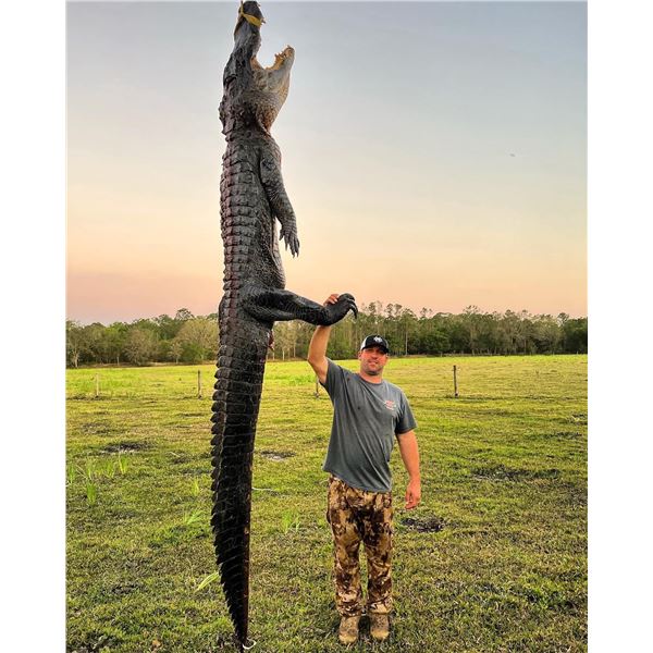 Florida Alligator & Hog Hunting Package for One, with Rifle - 3 days/2 nights Adventure