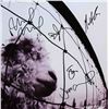 Image 1 : Pearl Jam signed Vs.  album
