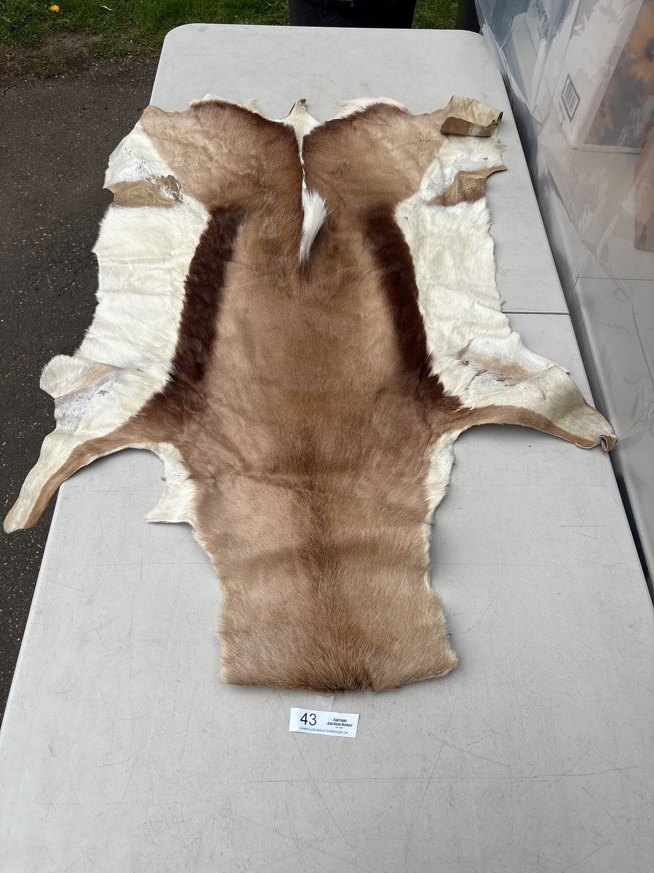 Animal Hide String Vintage Authentic Animal Hide Fur