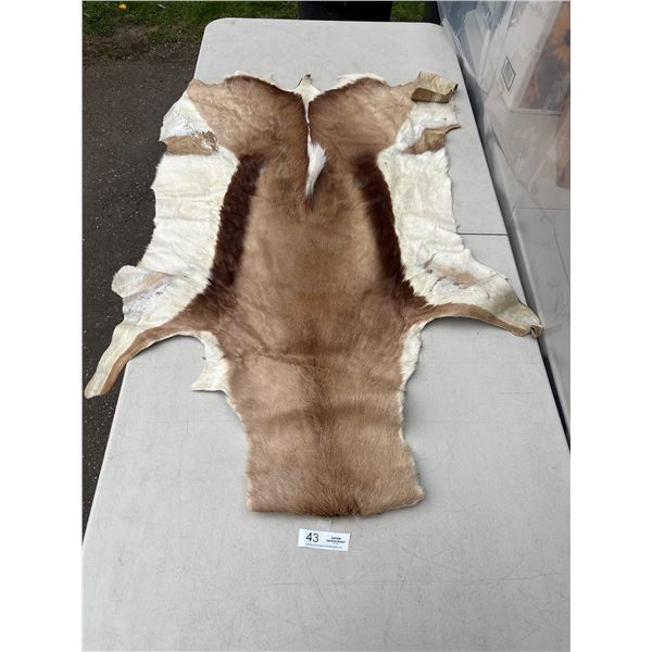 Vintage Authentic Animal Hide Fur