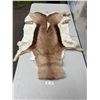 Image 1 : Vintage Authentic Animal Hide Fur