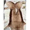 Image 2 : Vintage Authentic Animal Hide Fur