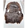 Image 1 : Vintage Authentic Animal Hide Fur