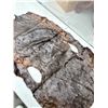 Image 2 : Vintage Authentic Animal Hide Fur