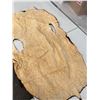 Image 3 : Vintage Authentic Animal Hide Fur