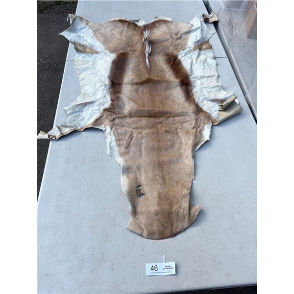 Vintage Authentic Animal Hide Fur