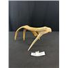 Image 1 : Very Nice Carved Eagle Head On Old Deer Antler, Great Detail