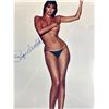 Image 3 : Raquel Welch Autographed Photo