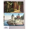 Image 2 : 4 Early Vancouver View Postcards