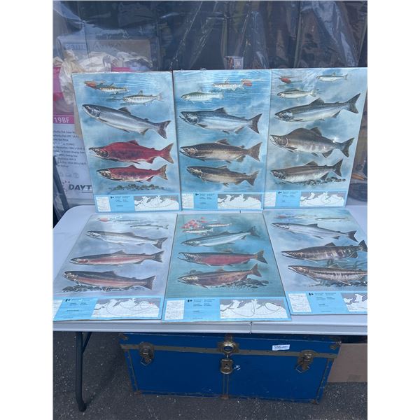 Lot of 6 Large Government of Canada Fisheries Fish Posters Nice Graphics