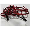 Image 1 : CABLES DE SURVOLTAGE