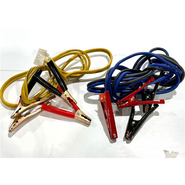 LOT DE 2 CABLES DE SURVOLTAGE
