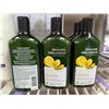 Image 1 : LOT DE 6 AVALON REVITALISANT BIOLOGIQUE 325ML