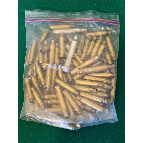 303 Brit Brass Casings