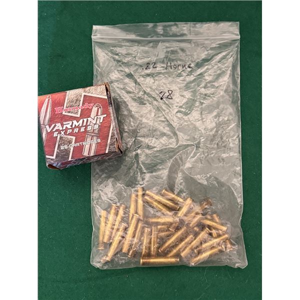 .22 Hornet Brass Casings