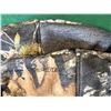 Image 4 : Hunting & Shooting Accessories Lot
