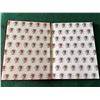 Image 3 : Big Game & Krieghoff Shotgun Books